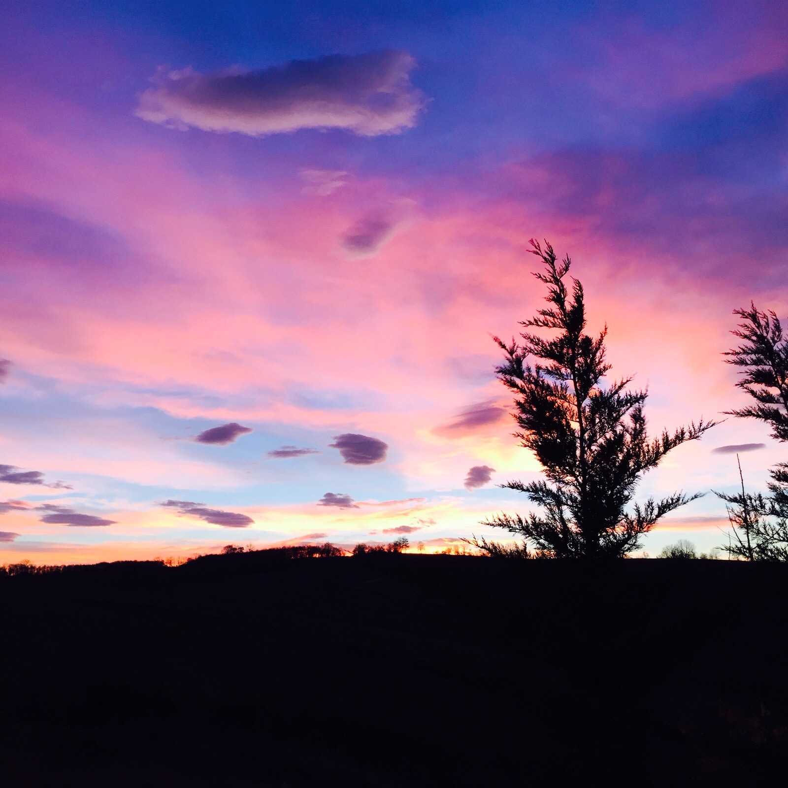 Articles – Free Will and Law of Attraction